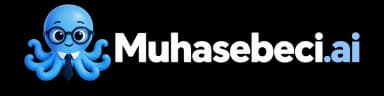 Muhasebeci.ai